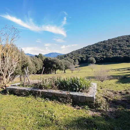 Chez Jean Viti Semesterbostad *