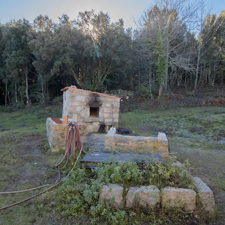 Chez Jean Viti Levie