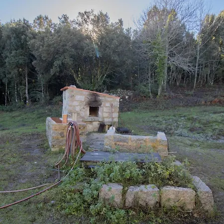 Chez Jean Viti Levie