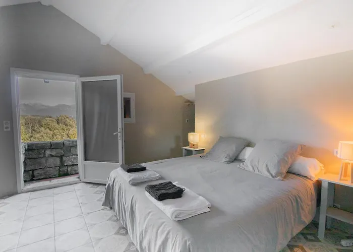 Chez Jean Viti Levie