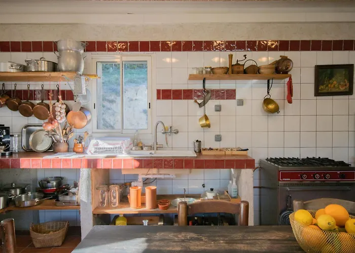 Chez Jean Viti * Levie