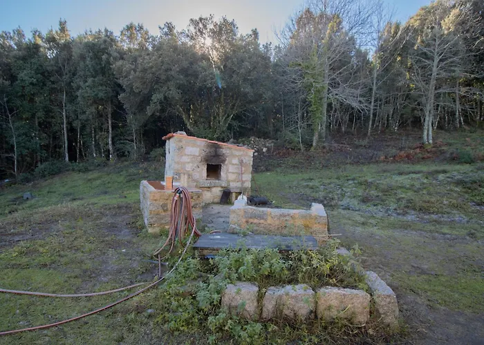 Chez Jean Viti Levie