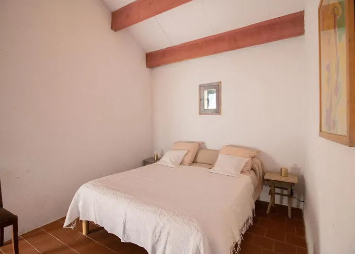 Chez Jean Viti Levie